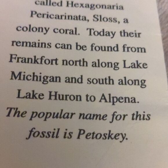 Michigan Petoskey Stone‎ souvenir - Picture 5 of 6